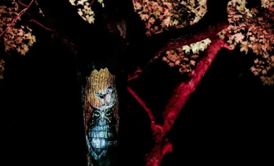 5月16–19日，廣州展與您一同探索“光之界”光影藝術(shù)空間(圖15)