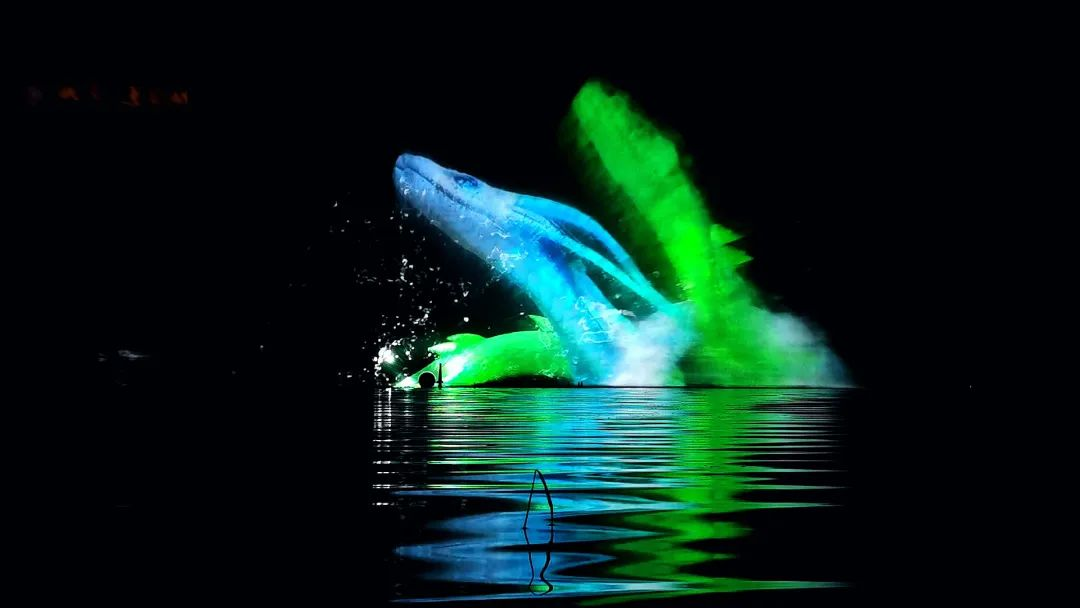 熱烈祝賀峨眉蓮花湖水秀項(xiàng)目《萬物生》榮獲2021年度優(yōu)秀數(shù)字文旅項(xiàng)目獎(jiǎng)(圖11)